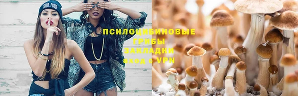 марки nbome Алзамай