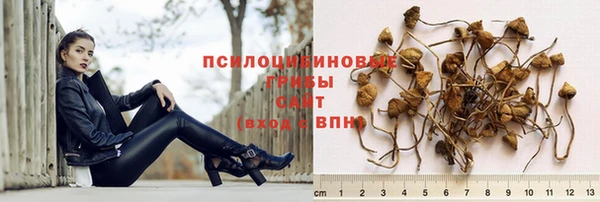 меф Алексин