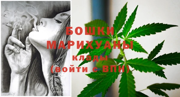 ПСИЛОЦИБИНОВЫЕ ГРИБЫ Алексеевка