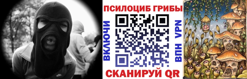 mega онион где найти Слюдянка Псилоцибиновые грибы Psilocybe